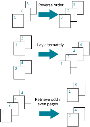Image of sorting pages