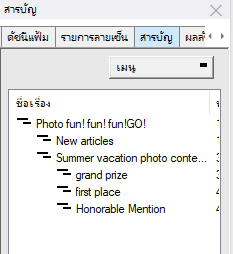 ระดับของข้อมูลกำกับแบบชื่อเรื่อง