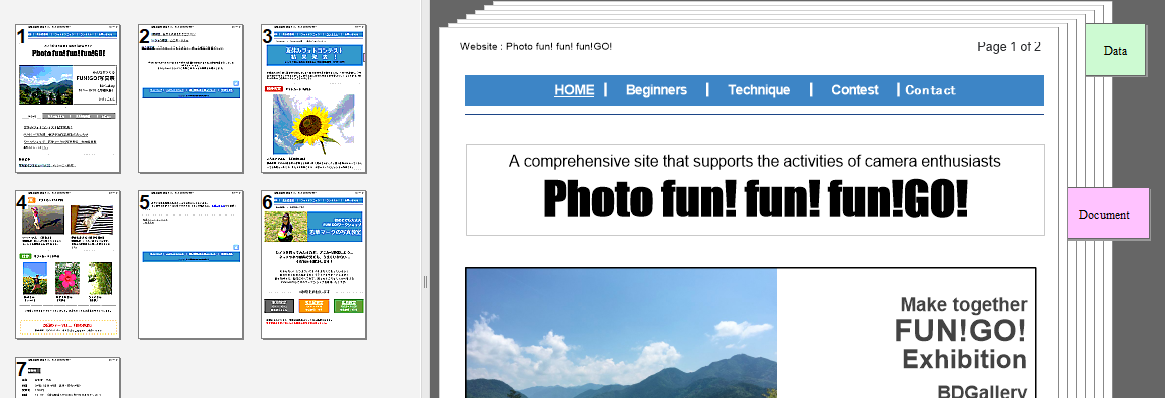 Image of a page sorter and document view