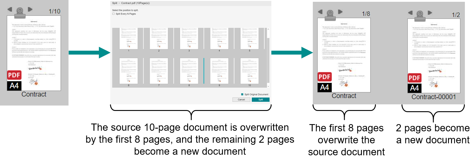 Split the Original Document