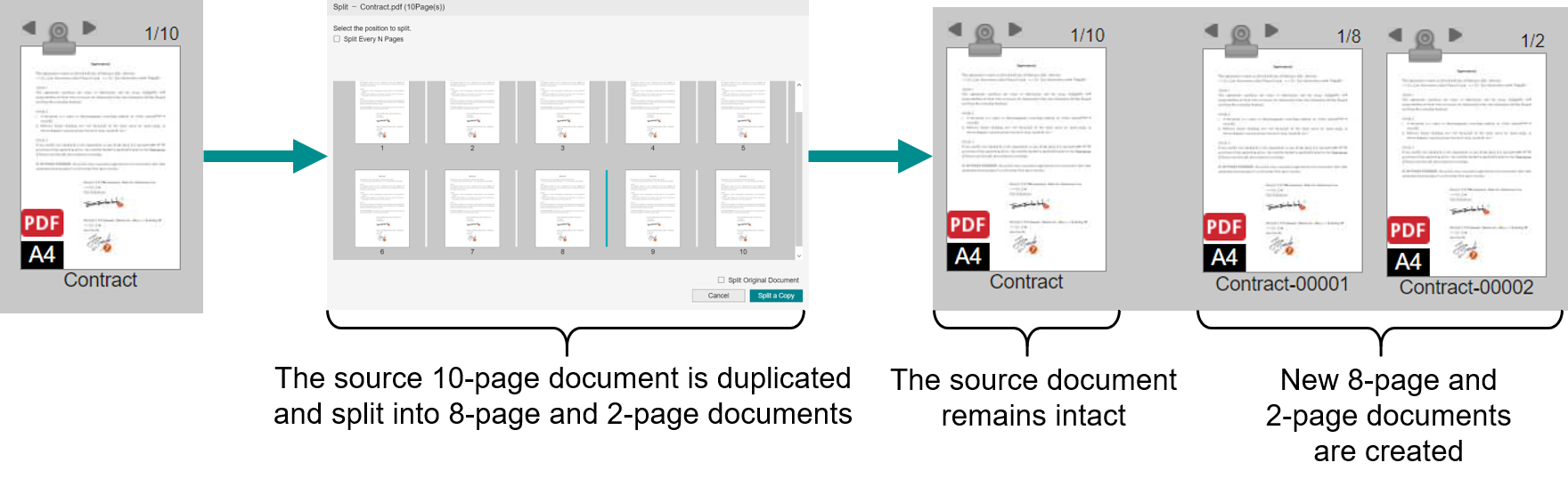Split the Duplicated Document