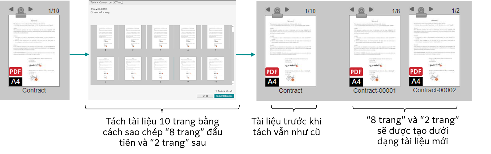 Tách một tài liệu bản sao